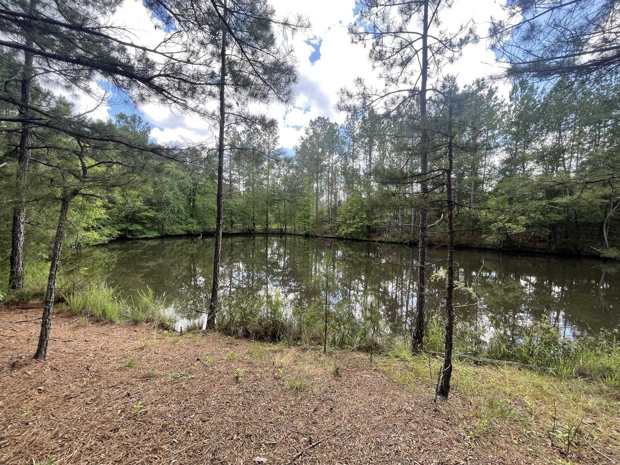 828 Tinker Creek Road Union, SC 29379 - Photo 10 of 33 Gallery Image 10