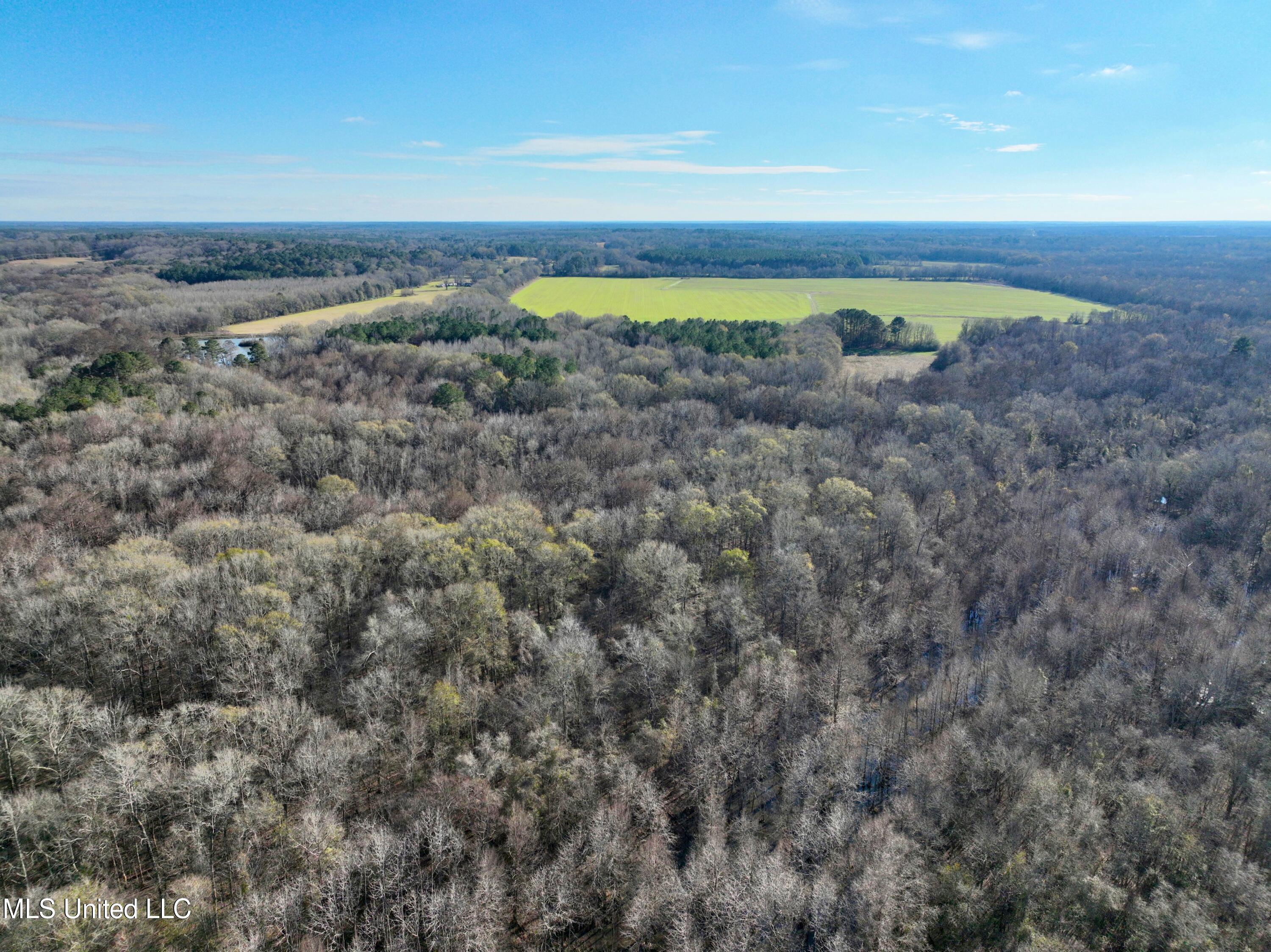1 Old 51 Road Pickens, MS 39146 - Photo 3 of 51 drone