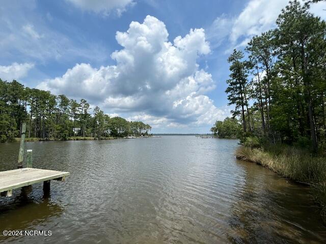 1039 Pasture Point Road Merritt, NC 28556 - Photo 14 of 77 IMG_1571