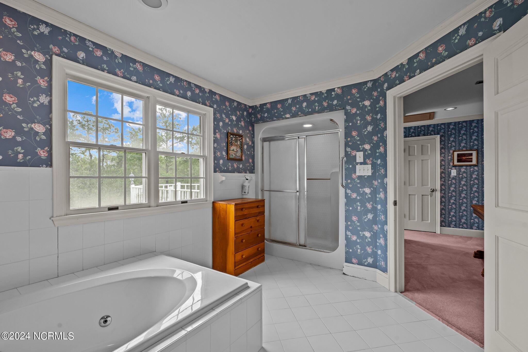 1039 Pasture Point Road Merritt, NC 28556 - Photo 66 of 77 55-web-or-mls-THP05778