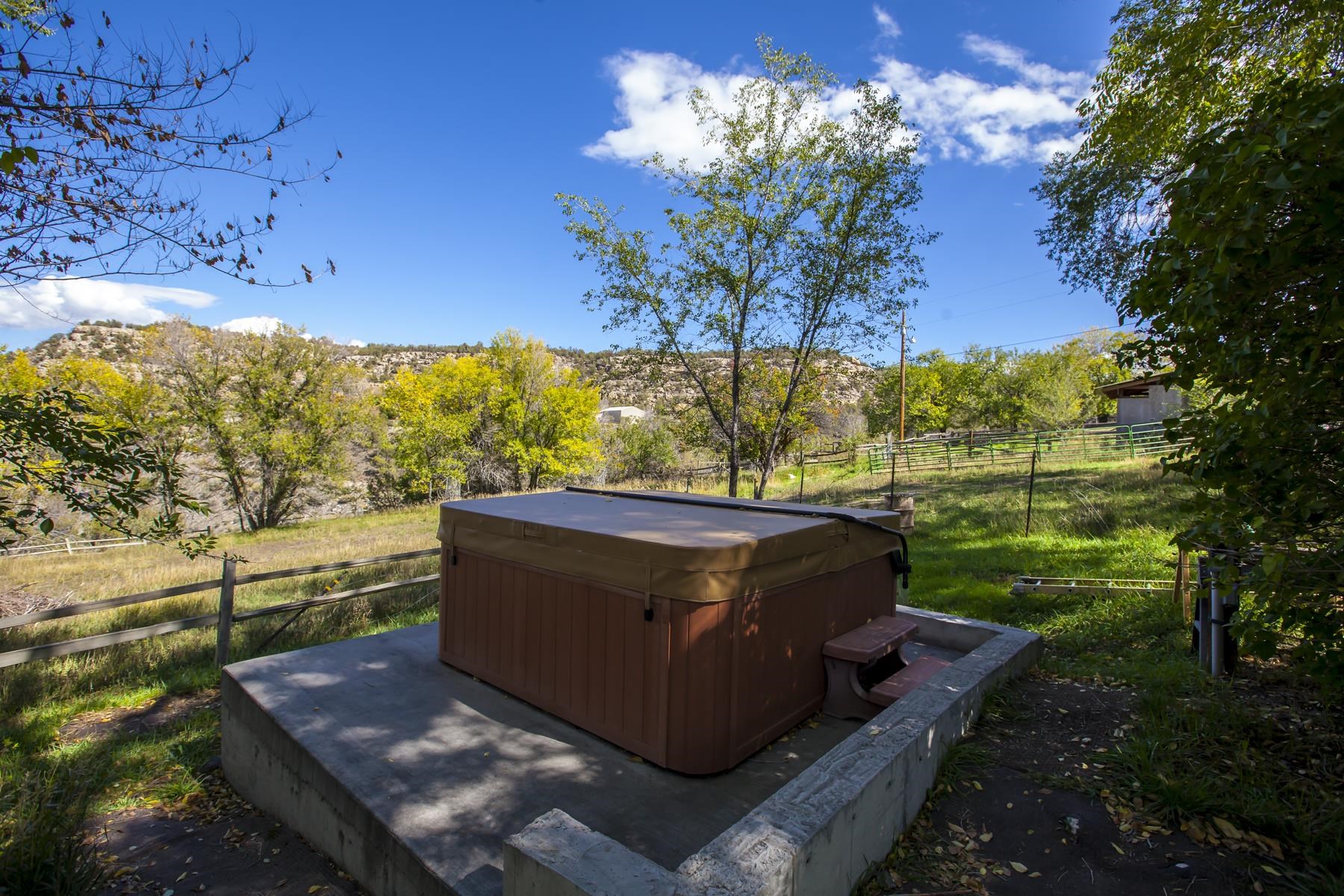 54044 KK Road Collbran, CO 81624 - Photo 8 of 42 Gallery Image 8