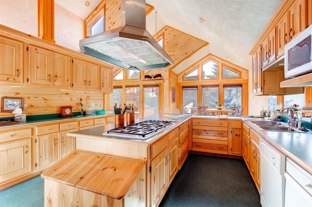 10 Kutsu Ridge Road Florissant, CO 80816 - Photo 27 of 35