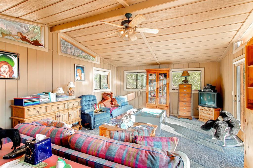 10 Kutsu Ridge Road Florissant, CO 80816 - Photo 35 of 35