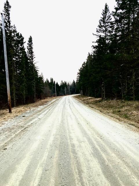 2-lot At Blaine School Road Fort Kent, ME 04743 - Photo 2 of 7 Roadway