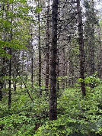 $57,500 | 2-lot At Blaine School Road, Fort Kent, ME 04743
