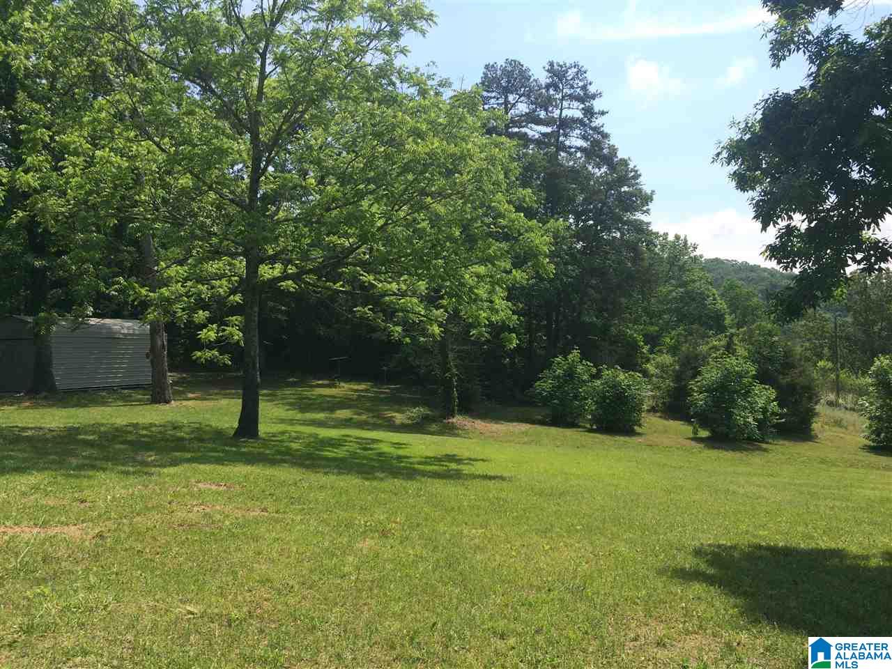 1310 Levi Green Road Hayden, AL 35079 - Photo 24 of 26