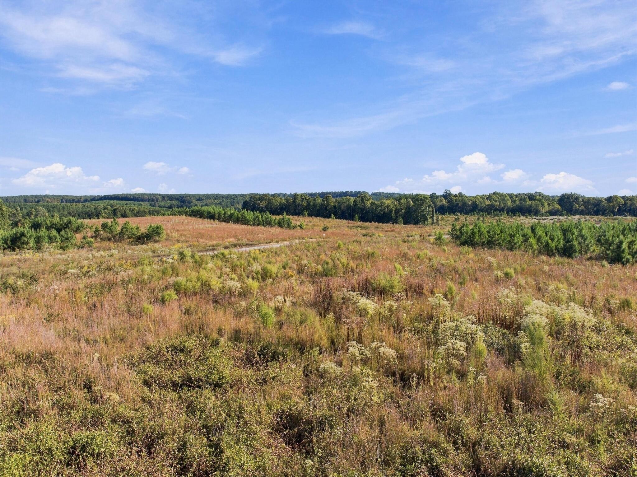0 Saddleback Road Dunlap, TN 37327 - Photo 17 of 21 Gallery Image 17