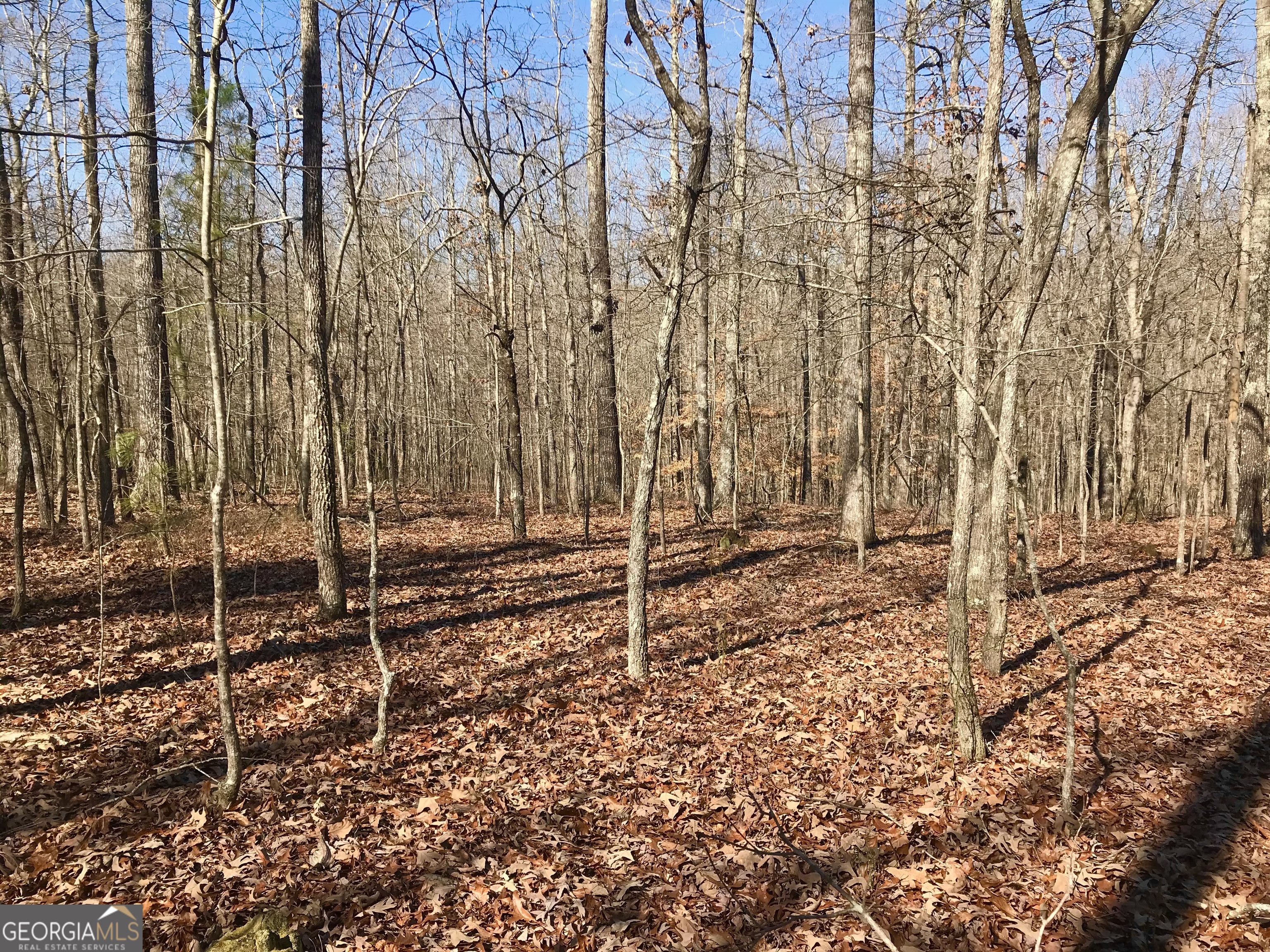 0 Big A Road Douglasville, GA 30135 - Photo 2 of 6