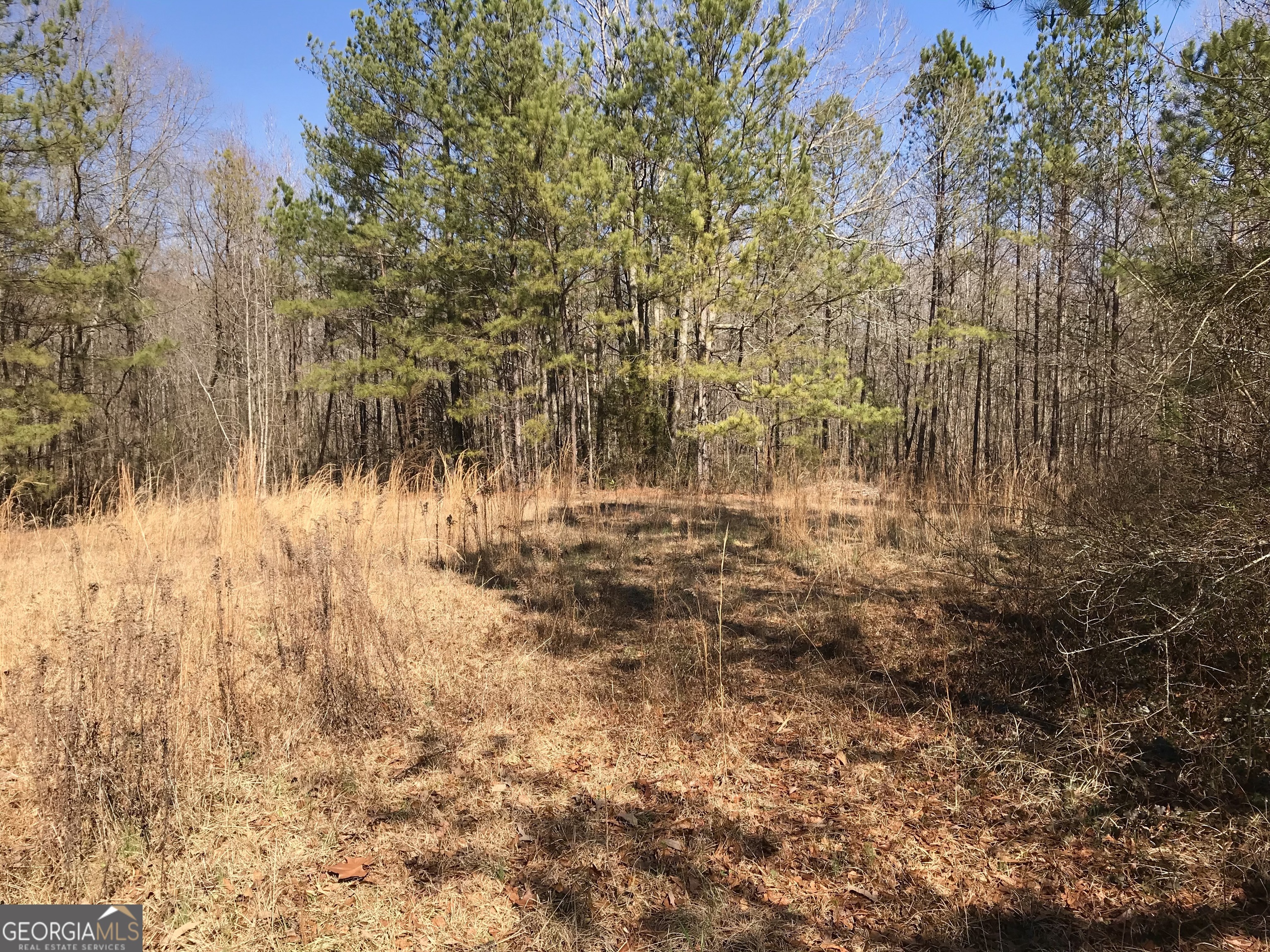 0 Big A Road Douglasville, GA 30135 - Photo 4 of 6