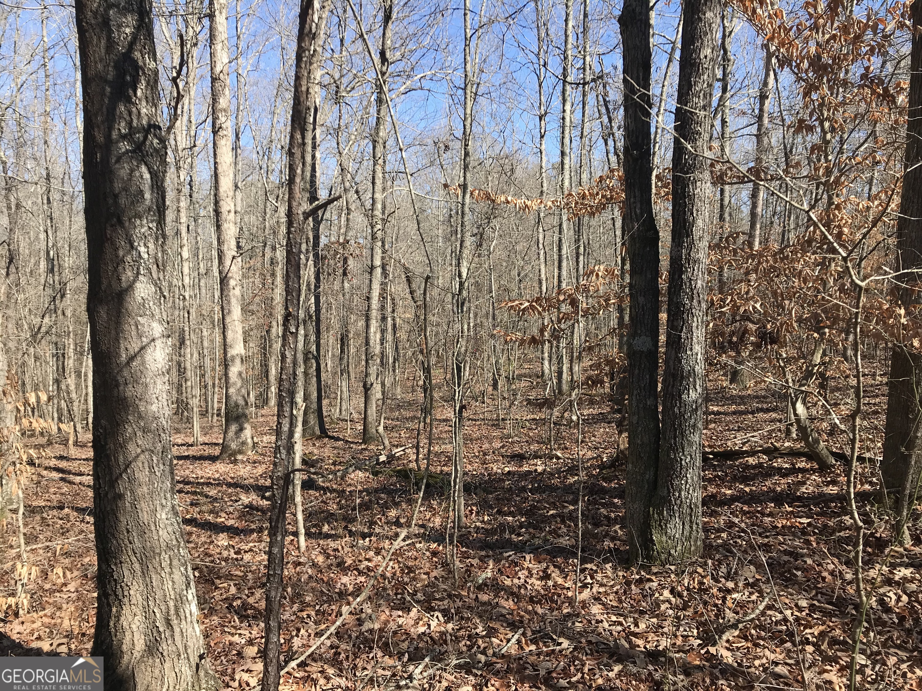 0 Big A Road Douglasville, GA 30135 - Photo 5 of 6