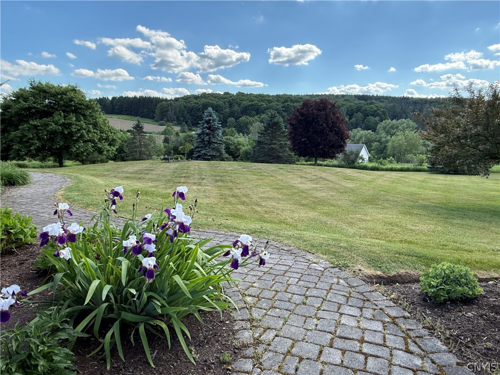 7404 Bonney Hill Road Hamilton, NY 13346 - Photo 36 of 45 Gallery Image 36