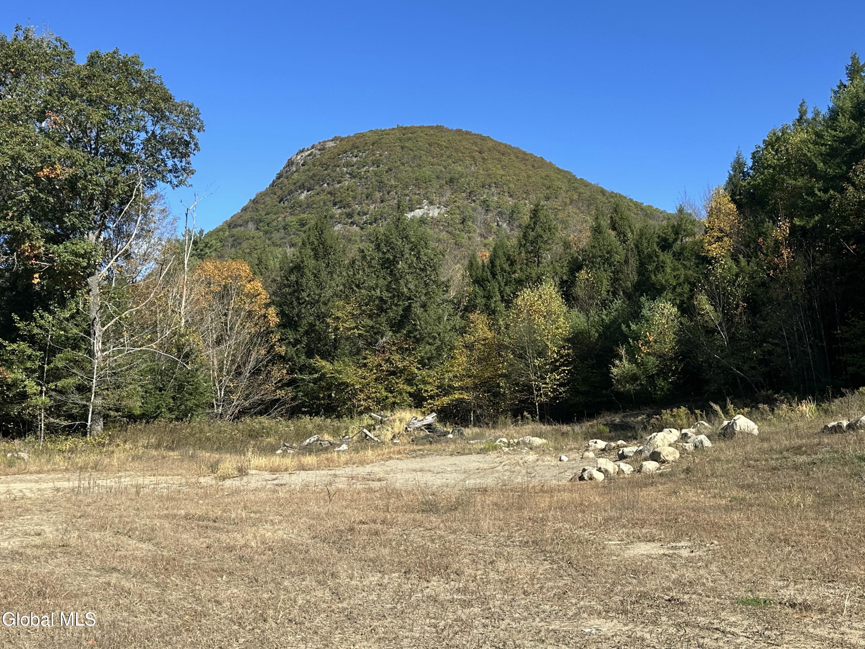 7 Dunkley Road Lake Luzerne, NY 12846 - Photo 11 of 26 IMG_0825