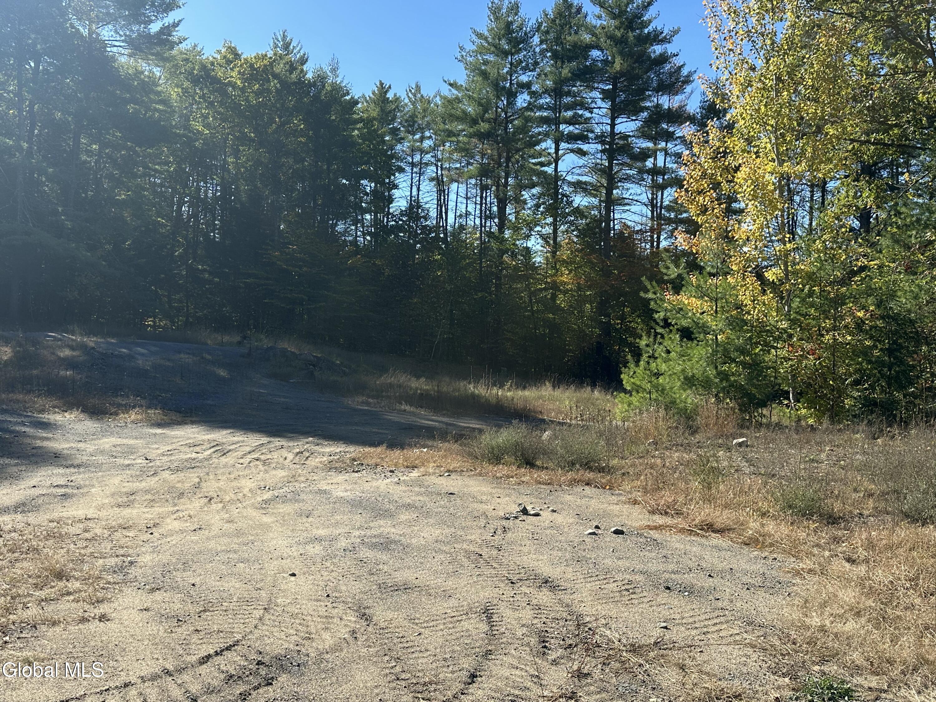 7 Dunkley Road Lake Luzerne, NY 12846 - Photo 12 of 26 IMG_0819