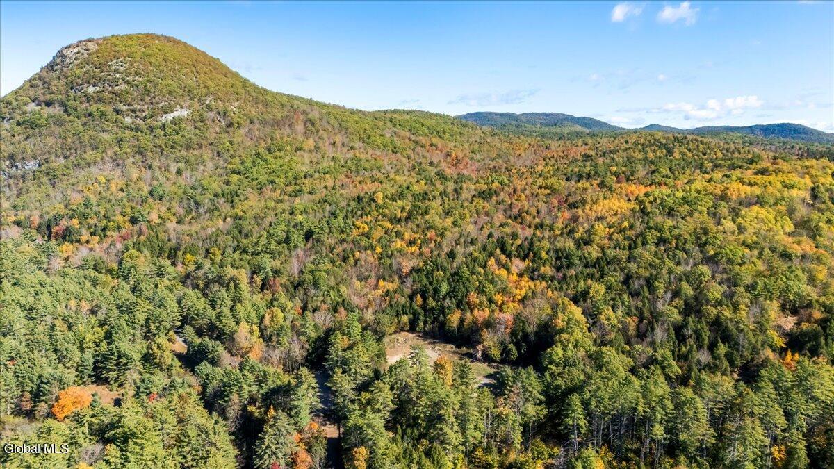 7 Dunkley Road Lake Luzerne, NY 12846 - Photo 7 of 26 3-DJI_20251009111023_0016_D