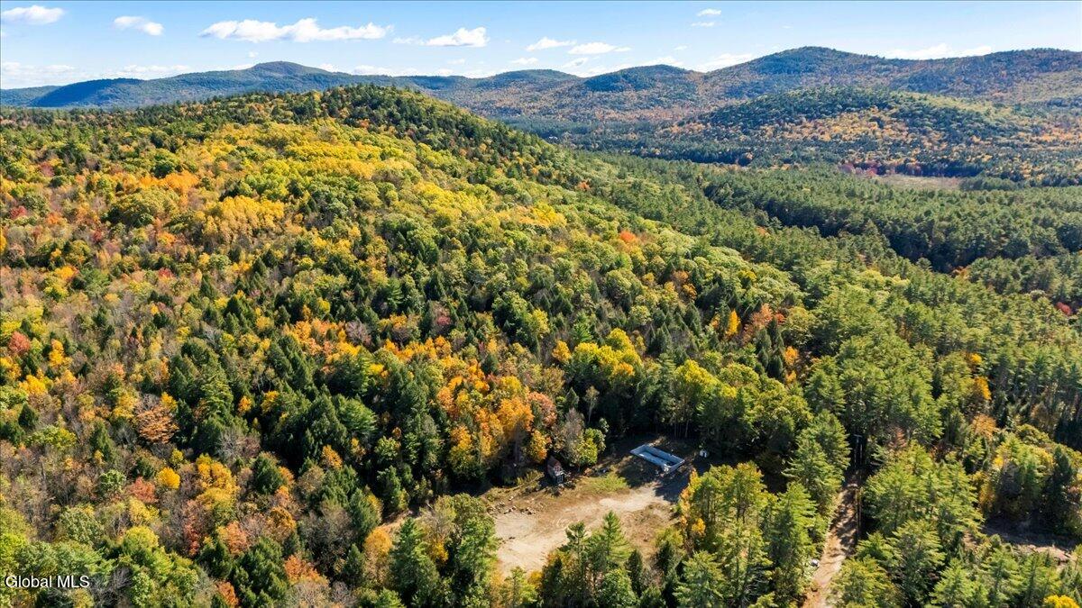 7 Dunkley Road Lake Luzerne, NY 12846 - Photo 8 of 26 5-DJI_20251009111143_0031_D