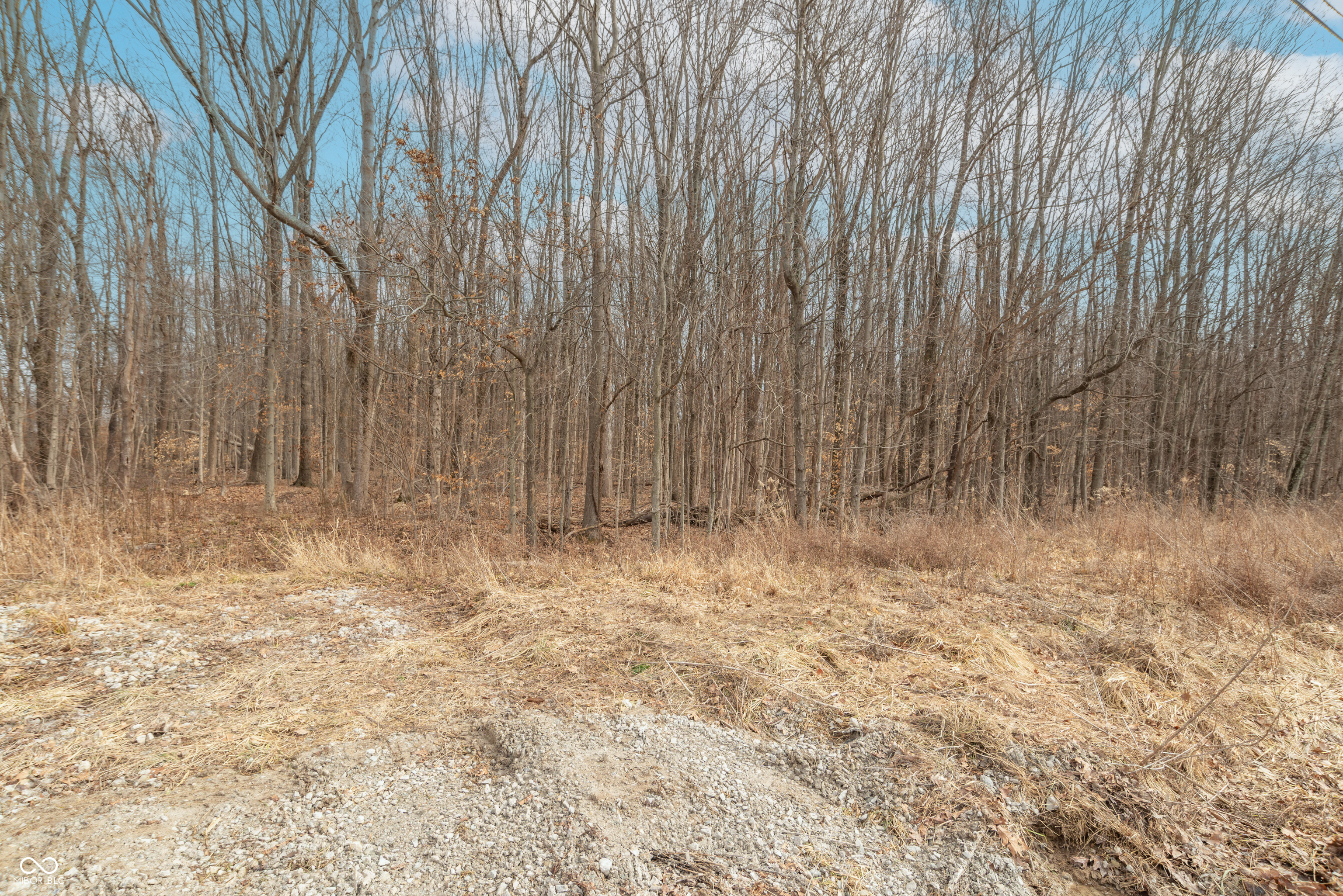 Lot 3 North Letterman Road Paragon, IN 46166 - Photo 5 of 8