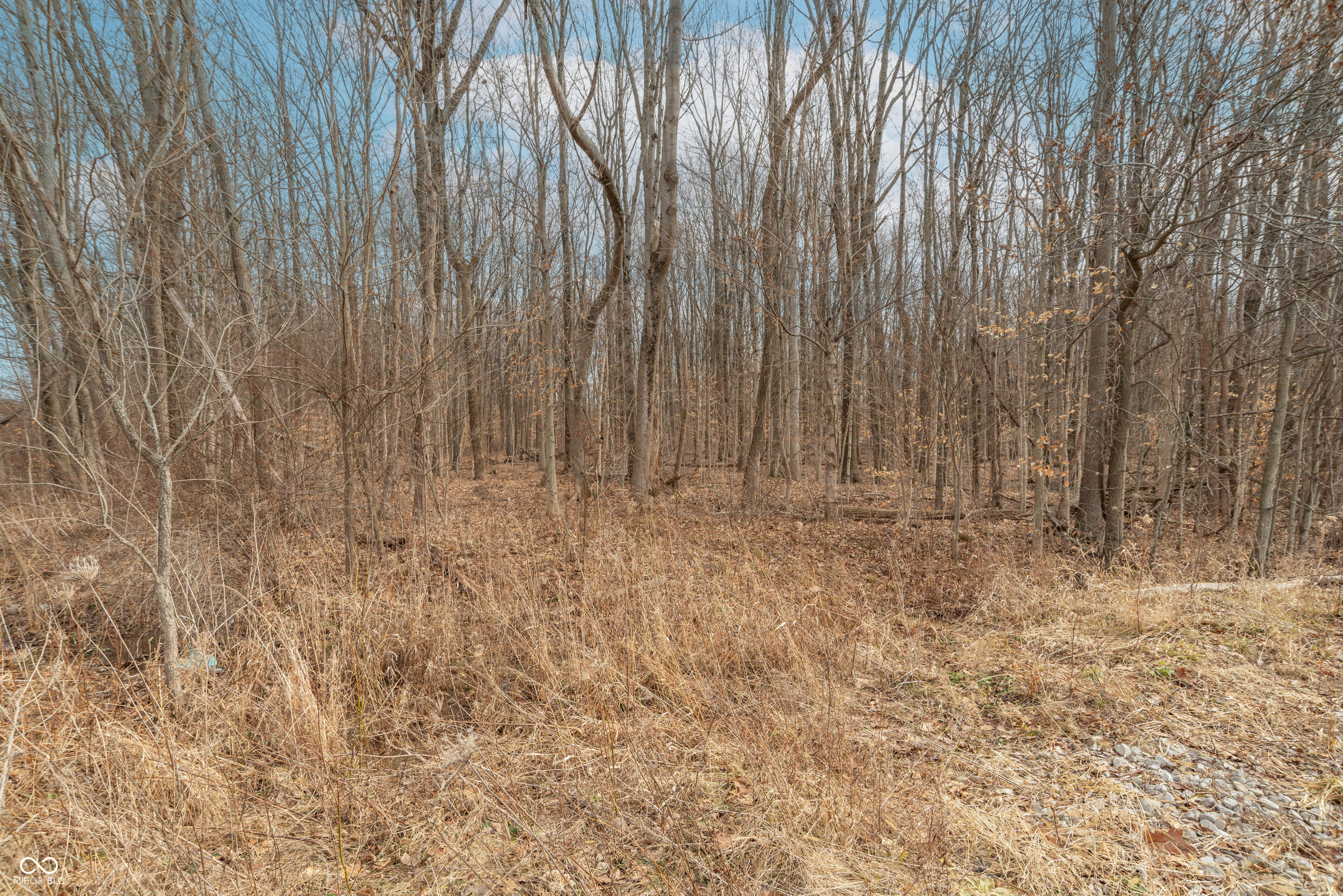 Lot 3 North Letterman Road Paragon, IN 46166 - Photo 6 of 8