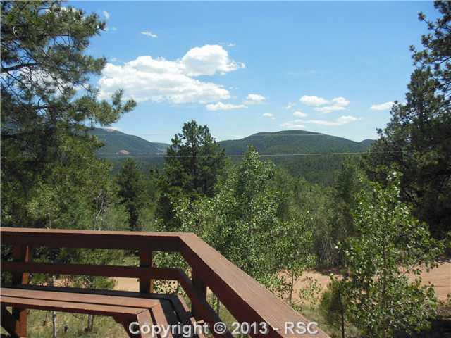 112 Blue Spruce Road Divide, CO 80814 - Photo 18 of 25 Gallery Image 18