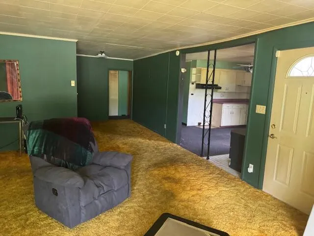 a view of a yard with large trees