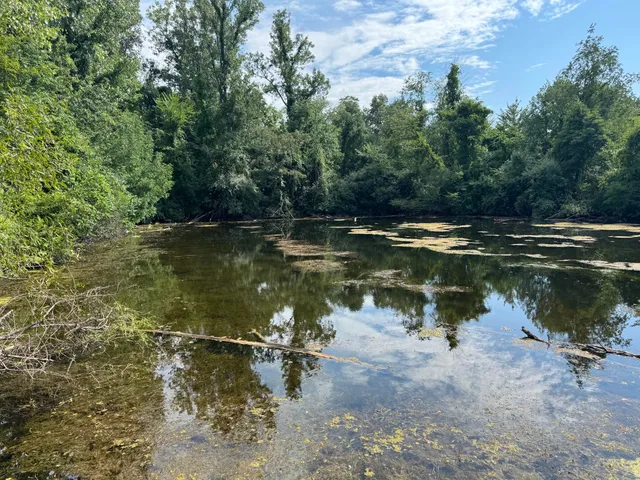 a close view of a sink in a bathroom