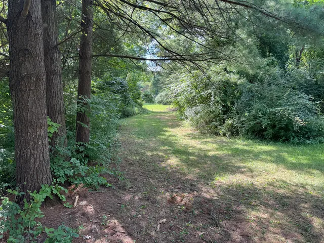 a view of lake with green space