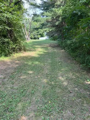 a view of a yard with a tree