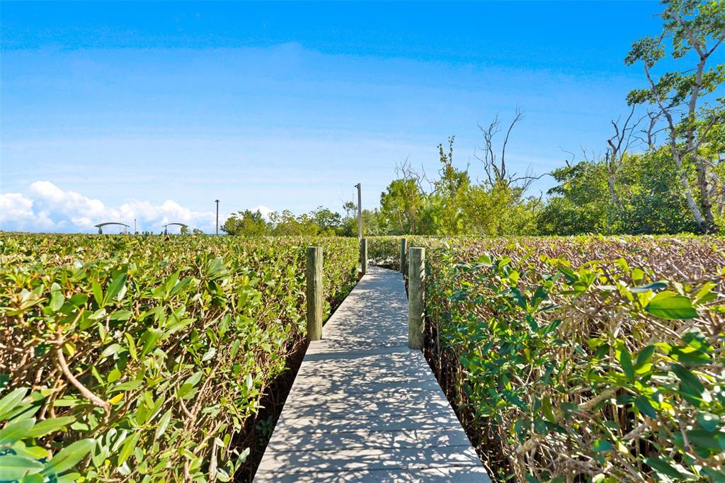 4150 Snail Island Court Boca Grande, FL 33921 - Photo 72 of 98