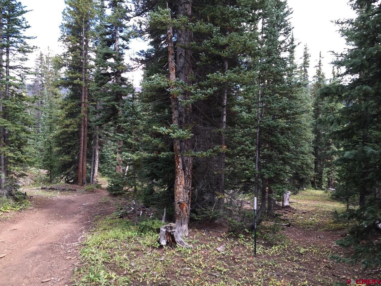 766.1j Forest Service Road Ohio City, CO 81237 - Photo 3 of 9 Gallery Image 3