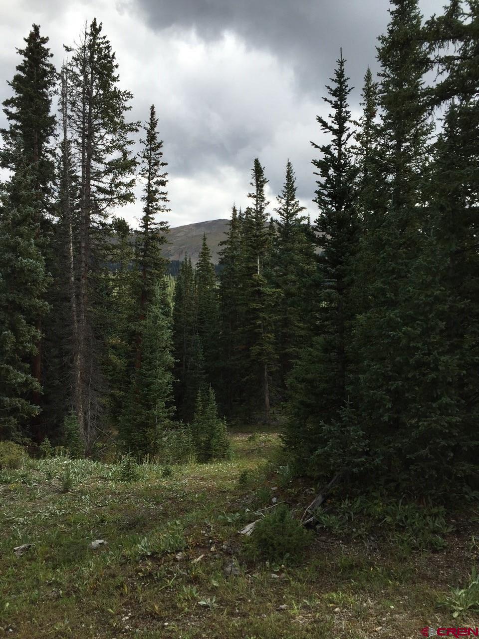 766.1j Forest Service Road Ohio City, CO 81237 - Photo 4 of 9 Gallery Image 4
