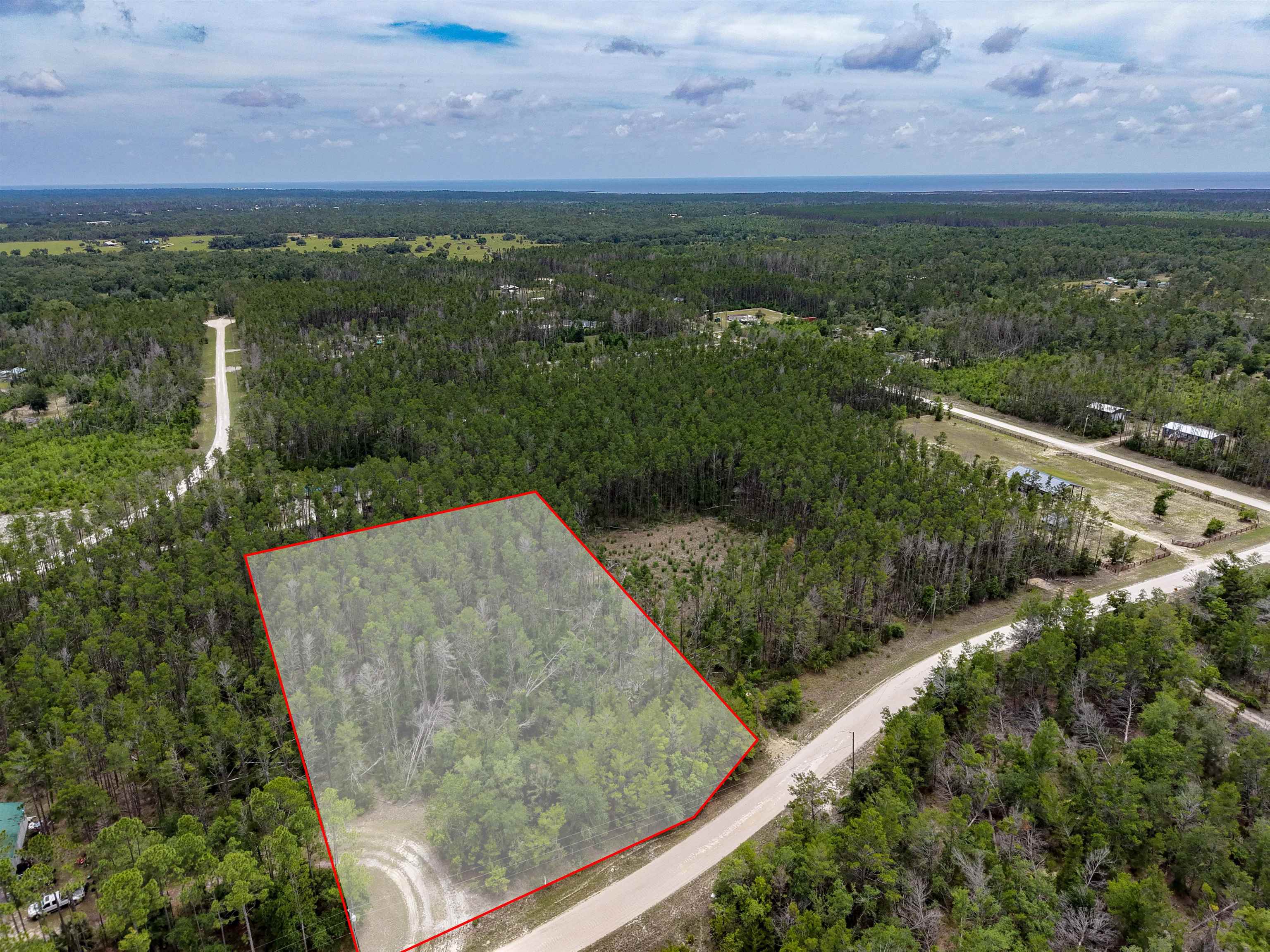 Tbd Ocean Pond Road Perry, FL 32348 - Photo 8 of 21