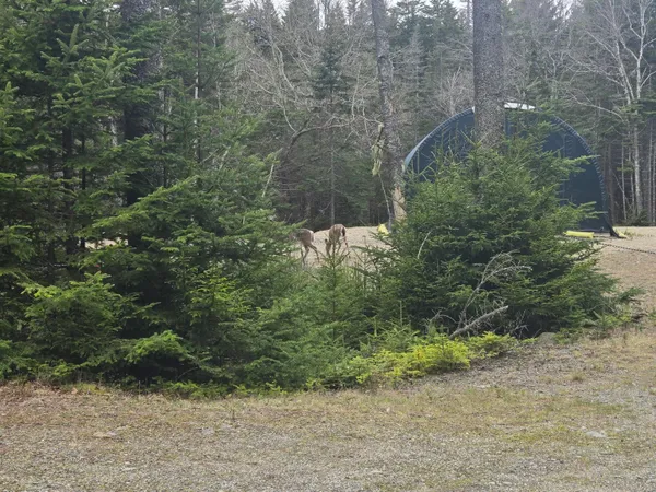$60,000 | 30 Wohoa Bay Drive, Addison, ME 04606