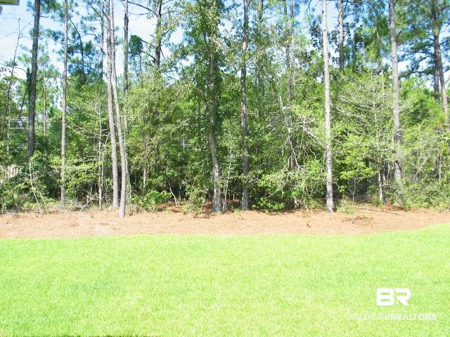 7021 Carson Lane Daphne, AL 36527 - Photo 12 of 18 Backyard