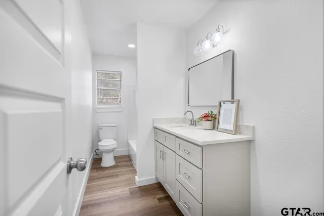 a bathroom with a sink a toilet and a mirror