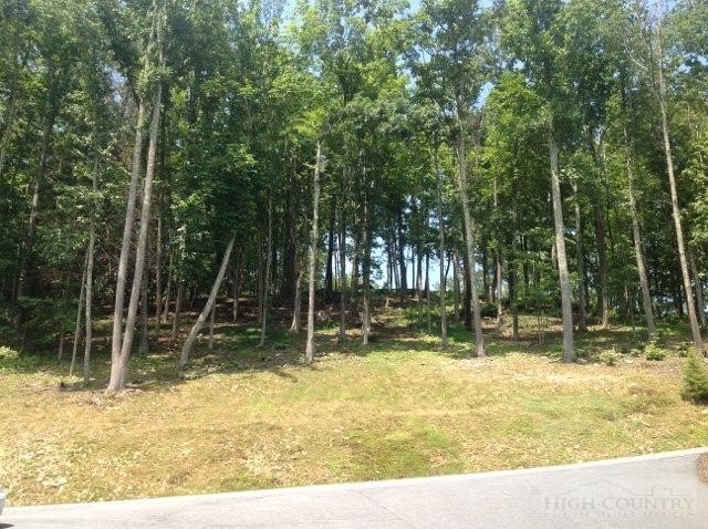 Lot 20 Boulder Cay Road Boone, NC 28607 - Photo 11 of 25 a view of a backyard