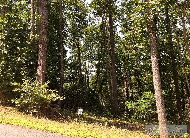 Lot 20 Boulder Cay Road Boone, NC 28607 - Photo 13 of 25 a view of backyard of a house