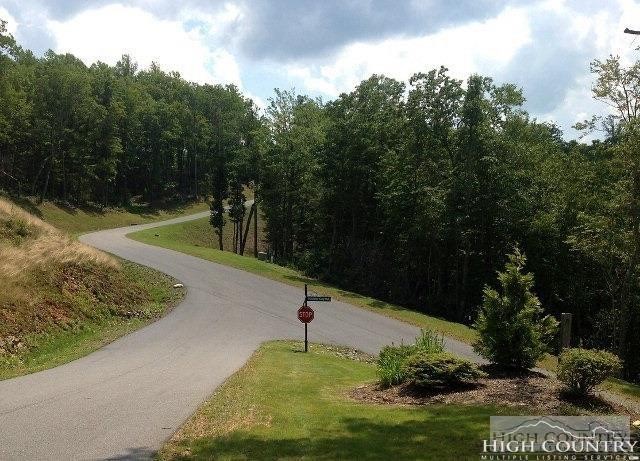 Lot 20 Boulder Cay Road Boone, NC 28607 - Photo 20 of 25 a view of a street with large trees