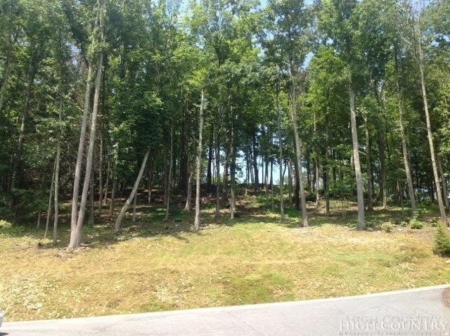 Lot 20 Boulder Cay Road Boone, NC 28607 - Photo 21 of 25 a view of a backyard