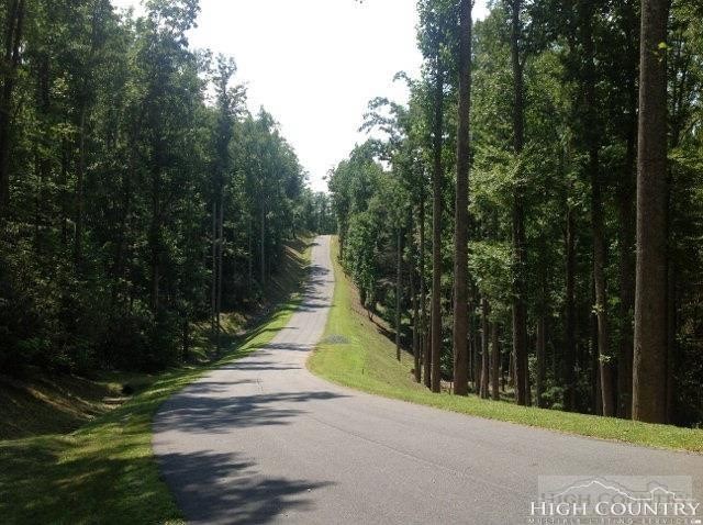 Lot 20 Boulder Cay Road Boone, NC 28607 - Photo 22 of 25 a pathway of a yard