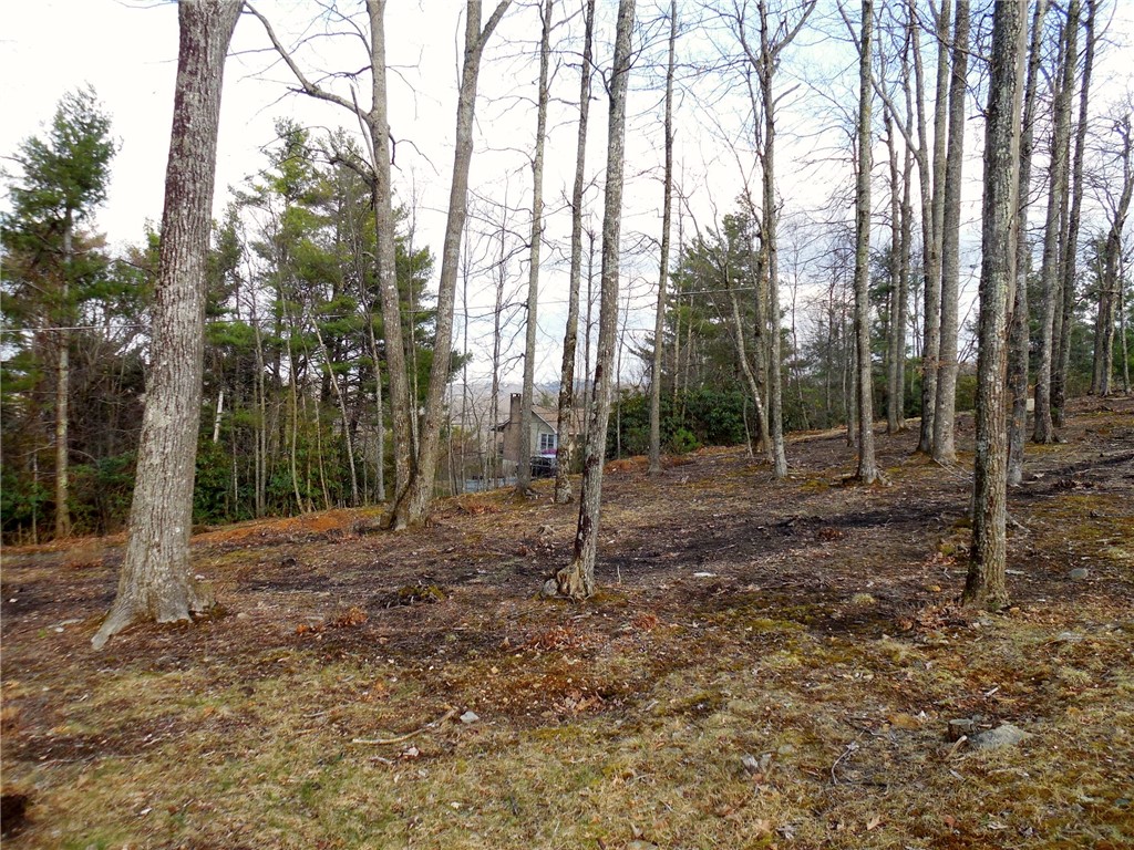 Lot 20 Boulder Cay Road Boone, NC 28607 - Photo 3 of 25 a view of outdoor space with trees