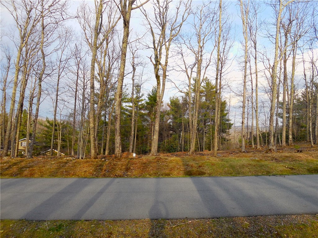 Lot 20 Boulder Cay Road Boone, NC 28607 - Photo 4 of 25 a view of yard with tree