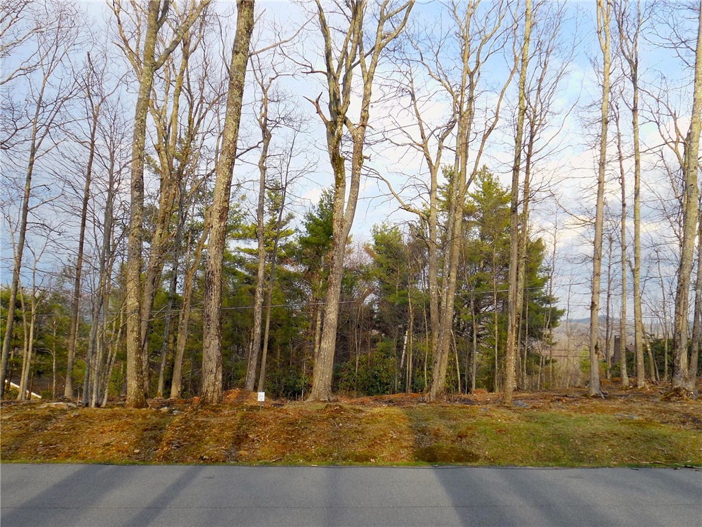 Lot 20 Boulder Cay Road Boone, NC 28607 - Photo 5 of 25 a view of swimming pool with trees in the background
