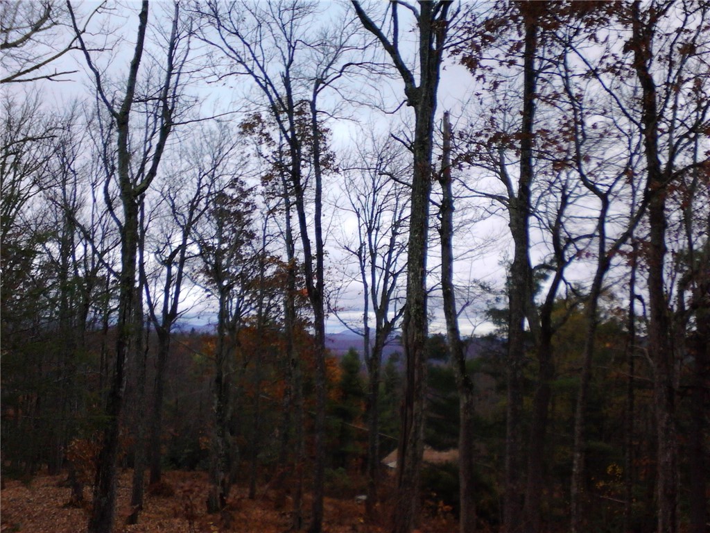 Lot 20 Boulder Cay Road Boone, NC 28607 - Photo 6 of 25 a view of trees in between two trees