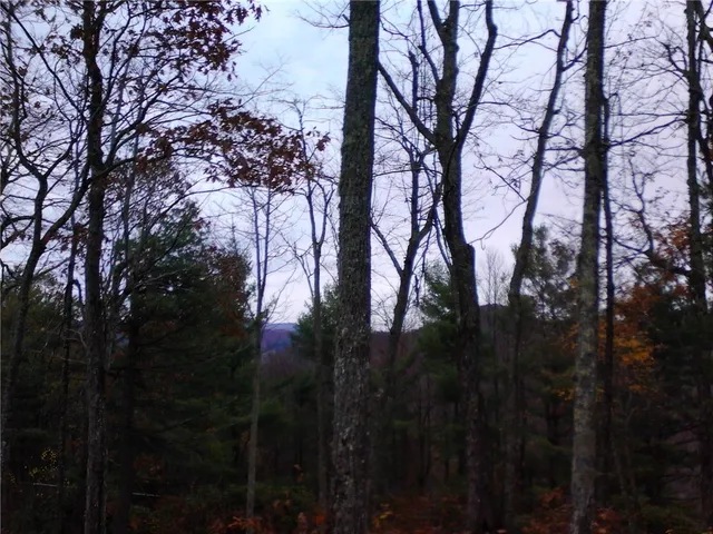 $85,000 | Lot 20 Boulder Cay Road, Boone, NC 28607