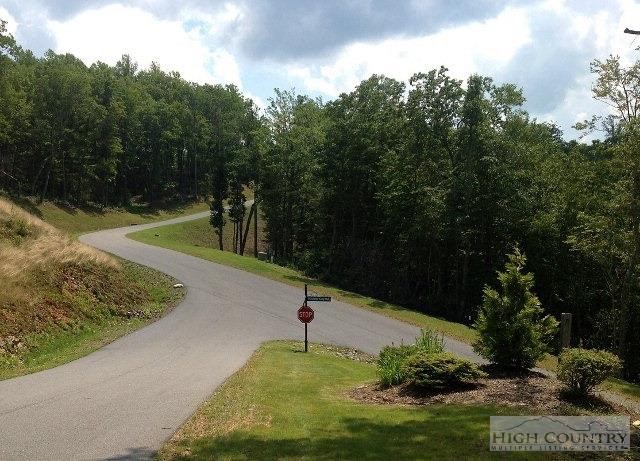 Lot 20 Boulder Cay Road Boone, NC 28607 - Photo 10 of 25 a view of a backyard