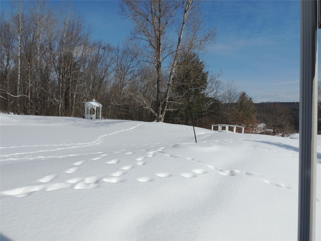 133 Dunbar Road Windsor, NY 13865 - Photo 2 of 30