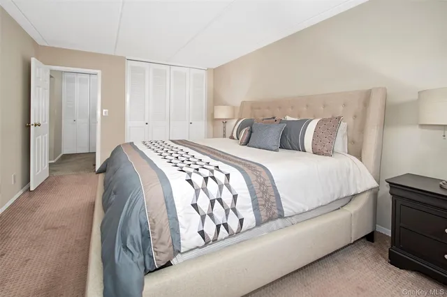 a spacious bedroom with a bed and a closet