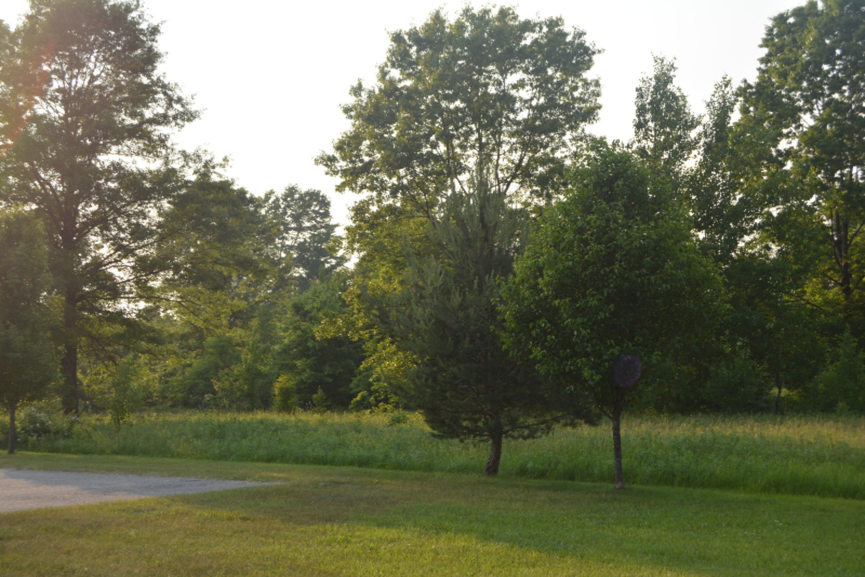Vl South Mill Iron Road Muskegon, MI 49442 - Photo 2 of 3 DSC_0126