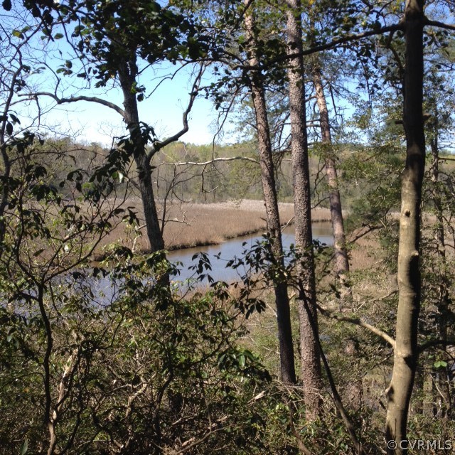 0 Farnham Creek Road Warsaw, VA 22572 - Photo 1 of 2 Prestine 5.9 Wooded Lot on Farnham Creek. Wetlands