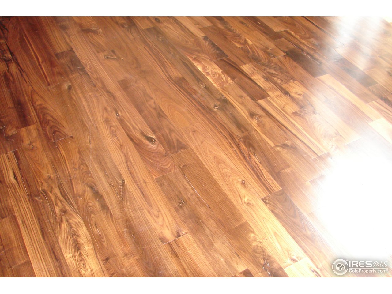 4672 West 20th Road, Unit 311 Greeley, CO 80634 - Photo 12 of 25 Walnut floors