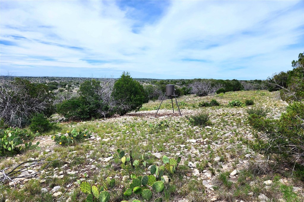Tbd Tbd Peck Road Comstock, TX 78837 - Photo 10 of 21